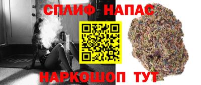 прущие грибы Кунгур