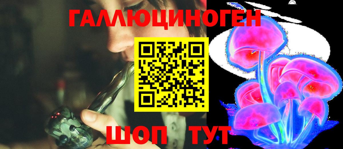 Кохма  Псилоцибиновые грибы Psilocybine cubensis  Вход с VPN  Псилоцибиновые грибы Psilocybine cubensis 